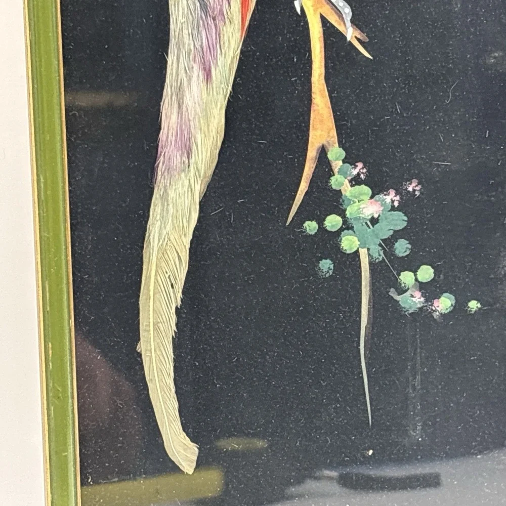 Vtg Mexican Feather Craft Art Bird Picture Wood Frame Multicolored 14.5x6.5